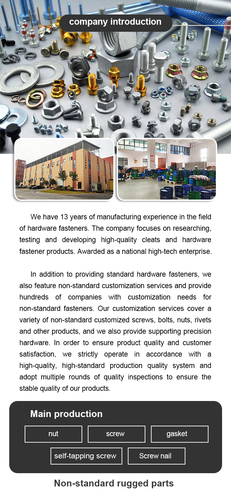 Fasteadores de hardware Company Introdução Detalhes-2-01